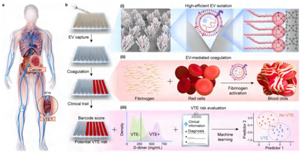 中国科学院研发出可检测血浆 EVs 凝血风险的条形码，用于癌症患者并发症预判