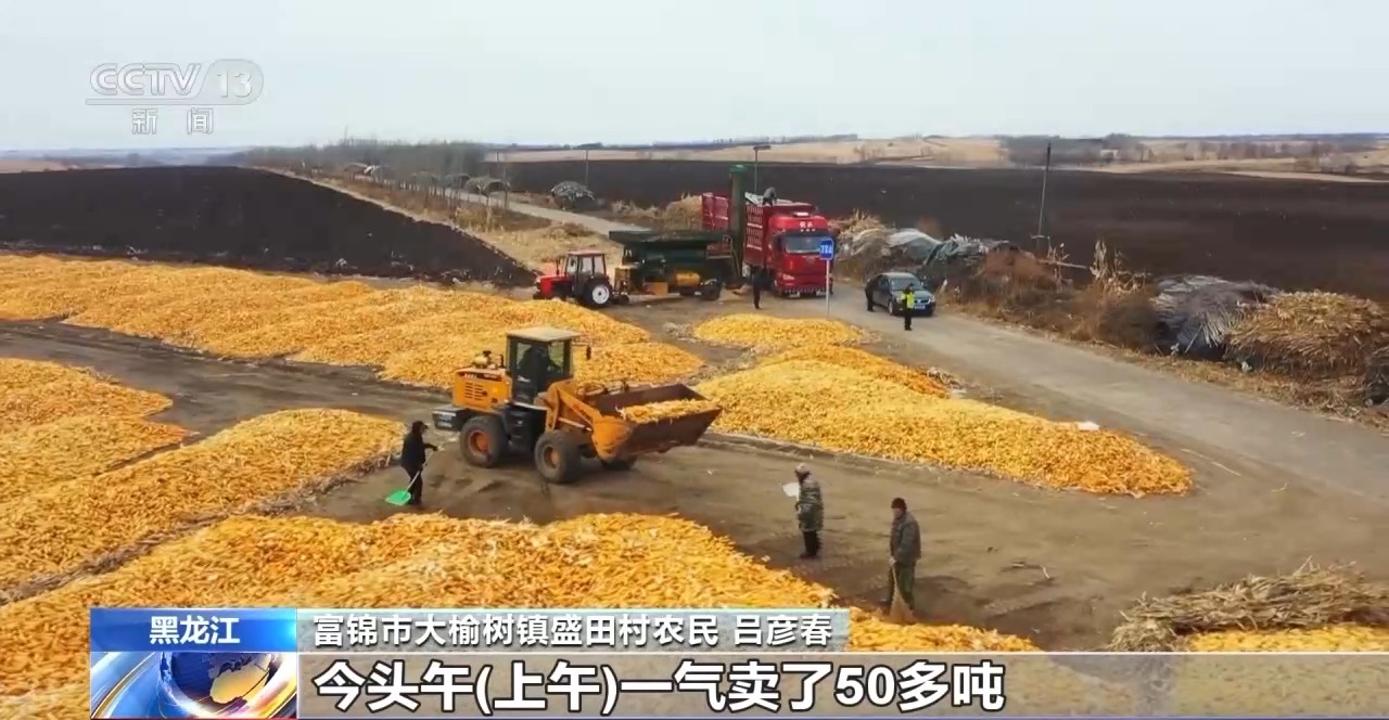 全国铁路发送粮食同比增长7.2%，北粮南运进入高峰期