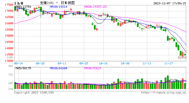 生猪现货日报|全国均价14.13元/公斤 下跌至7月末以来新低