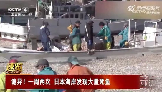 日本死鱼多到渔船寸步难行，官员称与核污染水无关